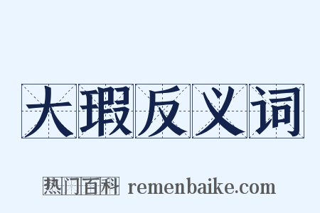 大瑕反义词是什么意思的图片